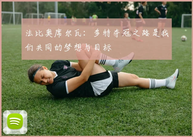 法比奥席尔瓦：多特夺冠之路是我们共同的梦想与目标
