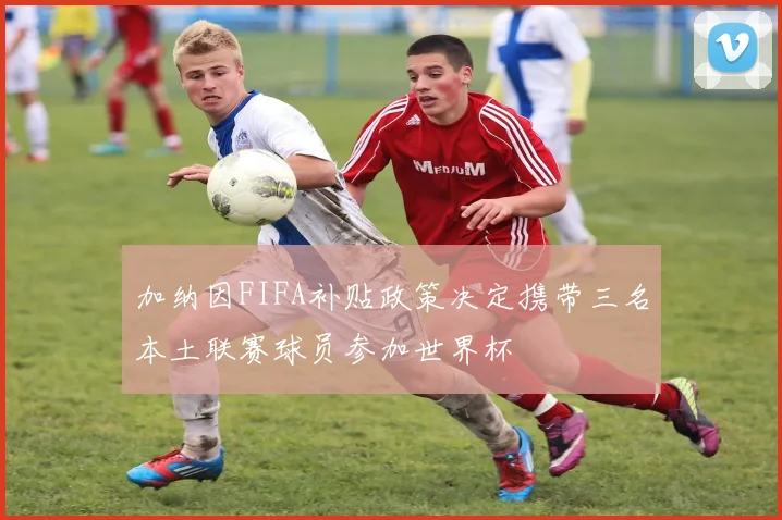 加纳因FIFA补贴政策决定携带三名本土联赛球员参加世界杯