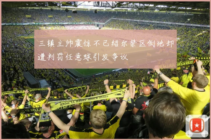 三镇主帅震惊不已绍尔禁区倒地却遭判罚任意球引发争议
